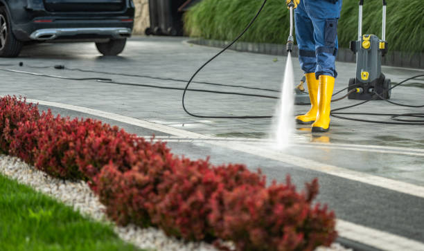 Best Gutter Cleaning  in Ellport, PA
